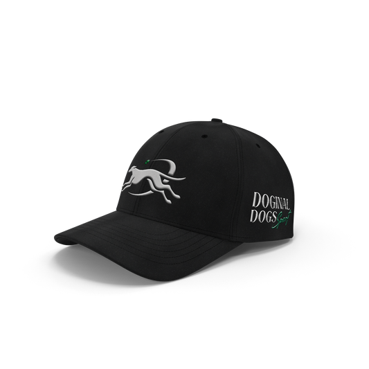 Premium Sport Hat