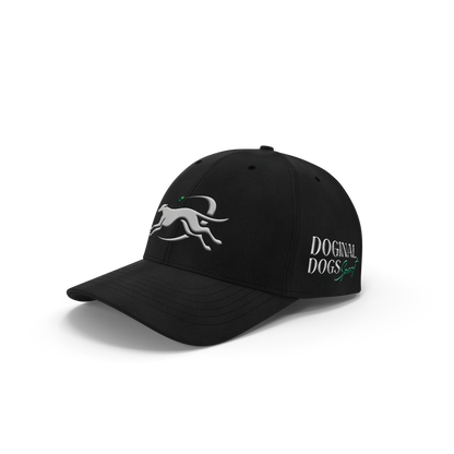 Premium Sport Hat